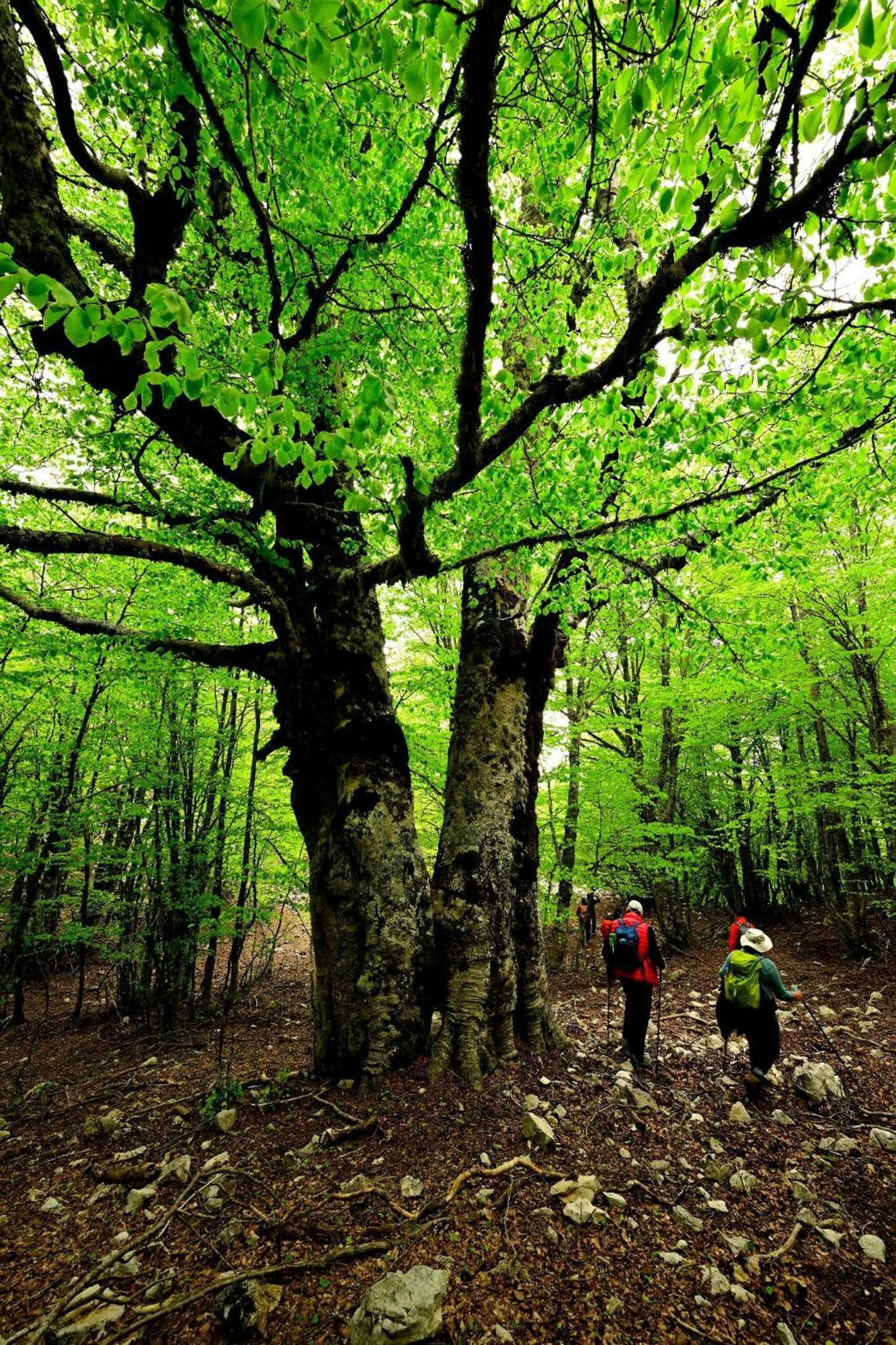 Mandra Chiusilla Villa Collesano Buitenkant foto